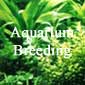 Aquarium Breeding