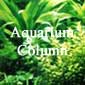 Aquarium Column
