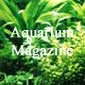 Aquarium Magazine