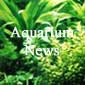 Aquarium News