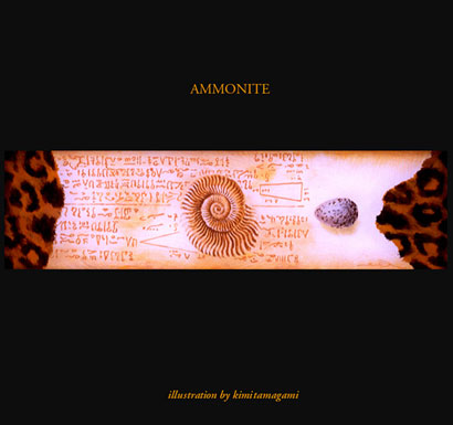 AMMONITE 1