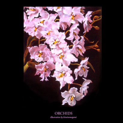 ORCHIDS 1