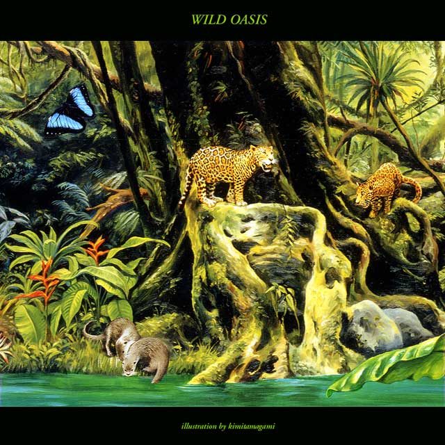 Wild Oasis 2