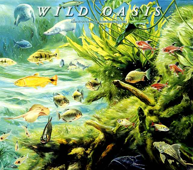 Wild Oasis 3